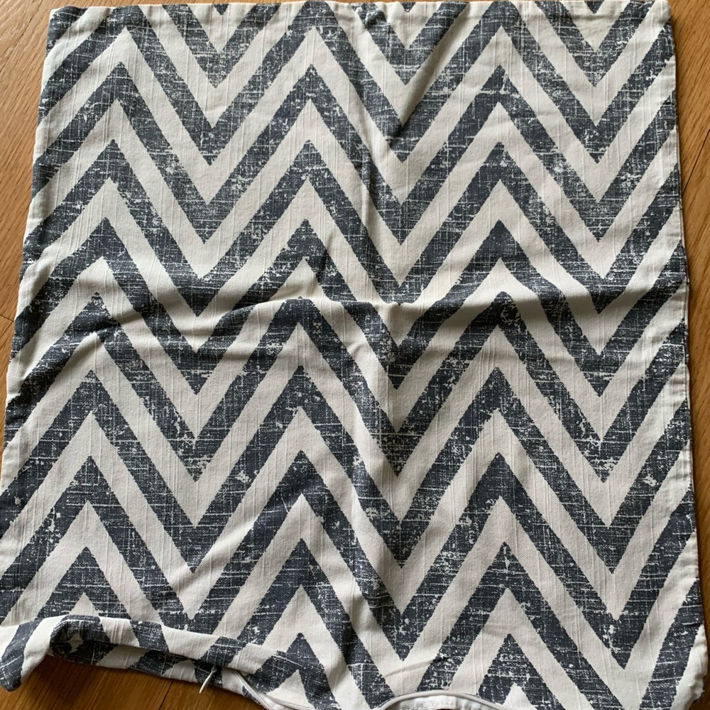 Pottery Barn accent pillow cover 20x20